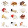 12 Pieces Mini Mushroom Figurines Set For Fairys Garden Decor Terrariums Outdoor Landscapes And Creative DIY Projects