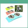 Premium Quality Double Food Water Pet Feeding Bowl For Puppies And Kittens With Non-slip Design
