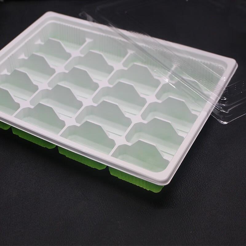 Einweg-Aufbewahrungsbox für Knödel mit 12 Fächern und Deckel