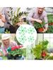 4PCS Reusable Plant Stem Folding Frame Garden Tools No Stake Trellis Plant Stem Support Support Branches Stem Organizer