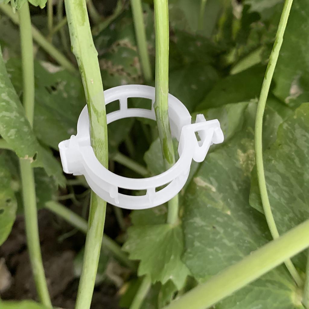 Verdickter Pflanzenbefestigungsclip Veredelungsclip Aufhängevorrichtung Tomatenclip Pflanzenclip Kunststoff Rebenclip Astbindung
