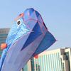Stunning 3d Giant Dolphin Kite In Blue Ultimate Outdoor Fun For All Ages