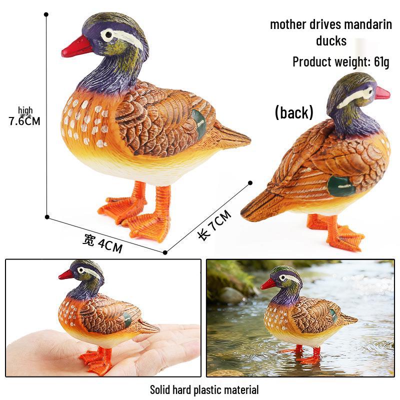 Pediatric Education Cognitive Flying Bird Model: Robin Garden Bonsai Desktop Decoration