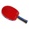Butterfly Table Tennis Racket