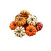 9 Piece Artificial Pumpkin Set Decorative Harvest Squash Realistic Simulation Model for Photography Food Baking and Display Props