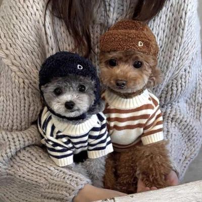 Dog & Cat Cotton Knitted Striped Teddy Sweater Autumn Winter Pet Clothing