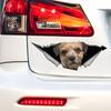 Border Terrier Car Stickers, Waterproof Pvc Animal Decals With 3D Effect, Block Scratches and Increase Fun Auto Parts