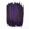 10Pcs Colorful Natural Female Pheasant Feathers for Decoration Crafts Long Chicken Feather Decor Carnival Accessories Decoration