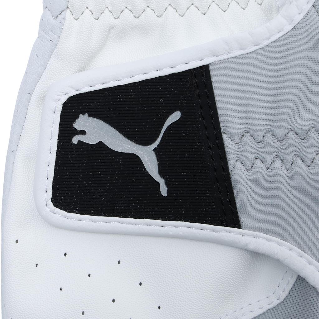 Golf Phantom Leather Glove (Left Hand) 042016_03 Bright White/Ash Gray_21