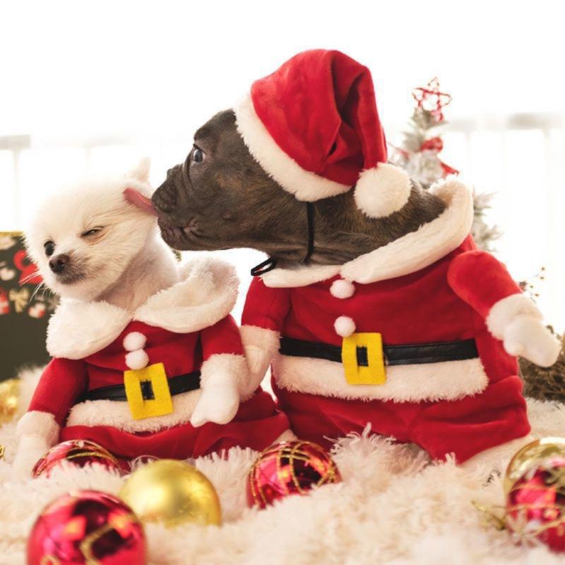 Kitten Christmas Costume Santa Claus Hat & Coat Outfit Suit Fashion Pet Dog Jackets Red Hat Winter Clothes Photo Props