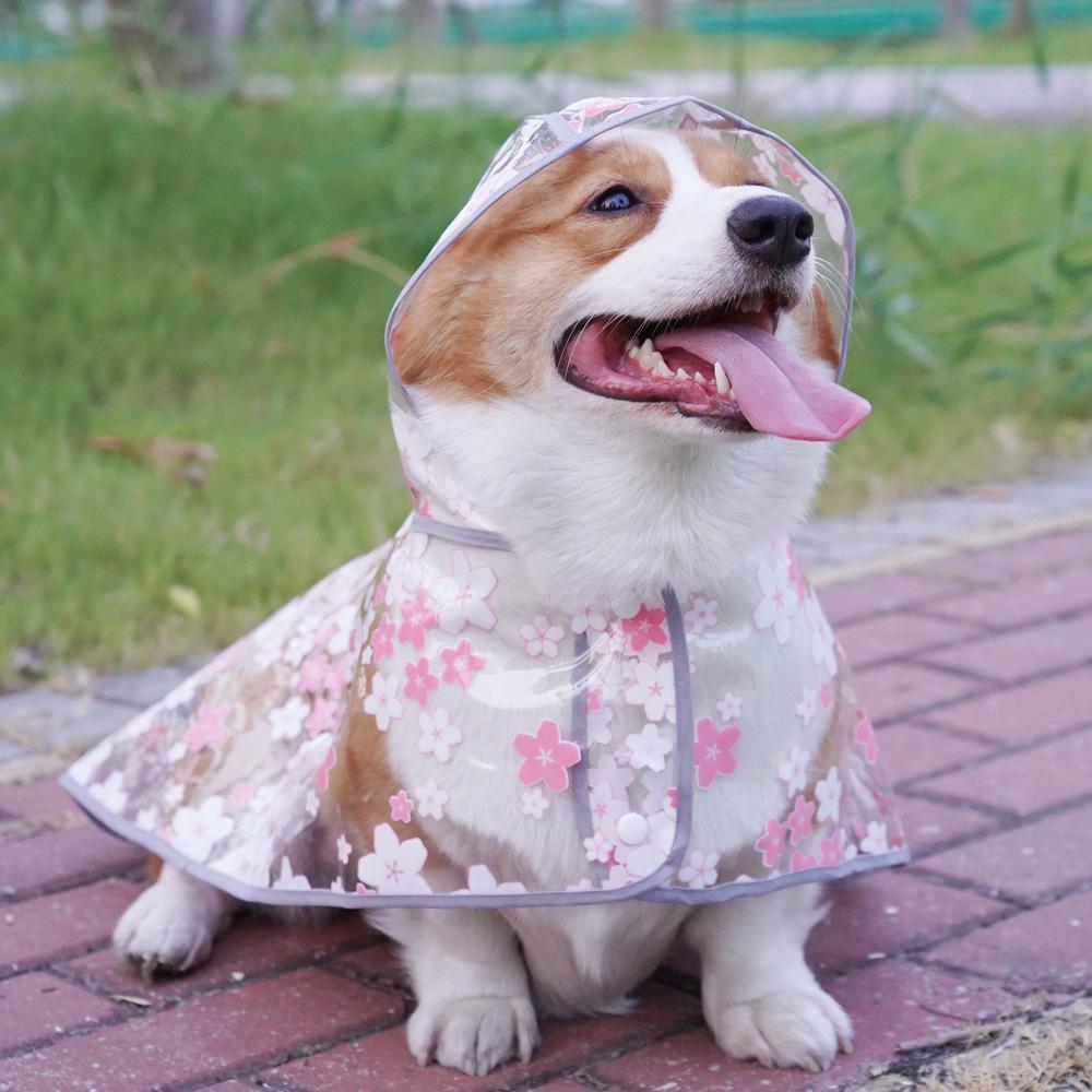 Floral Dog Cloak Raincoat Corgi Medium Dog General Purpose Pet Clothing Dubin Satsuma Golden Retriever