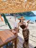 Island Chic Women's Two-Piece Set: Cropped Bandeau Top & Irregular Print Maxi Skirt