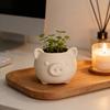 3D Printed Cute Pig Planter Cartoon Animal Shaped Cactus Flower Pot with Drainage Hole for Home Office Desk Decor