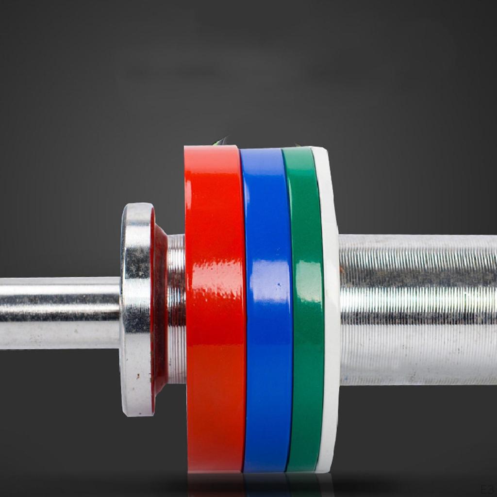 Fractional 0.25/0.5/0.75/1kg Micro weight Training plate