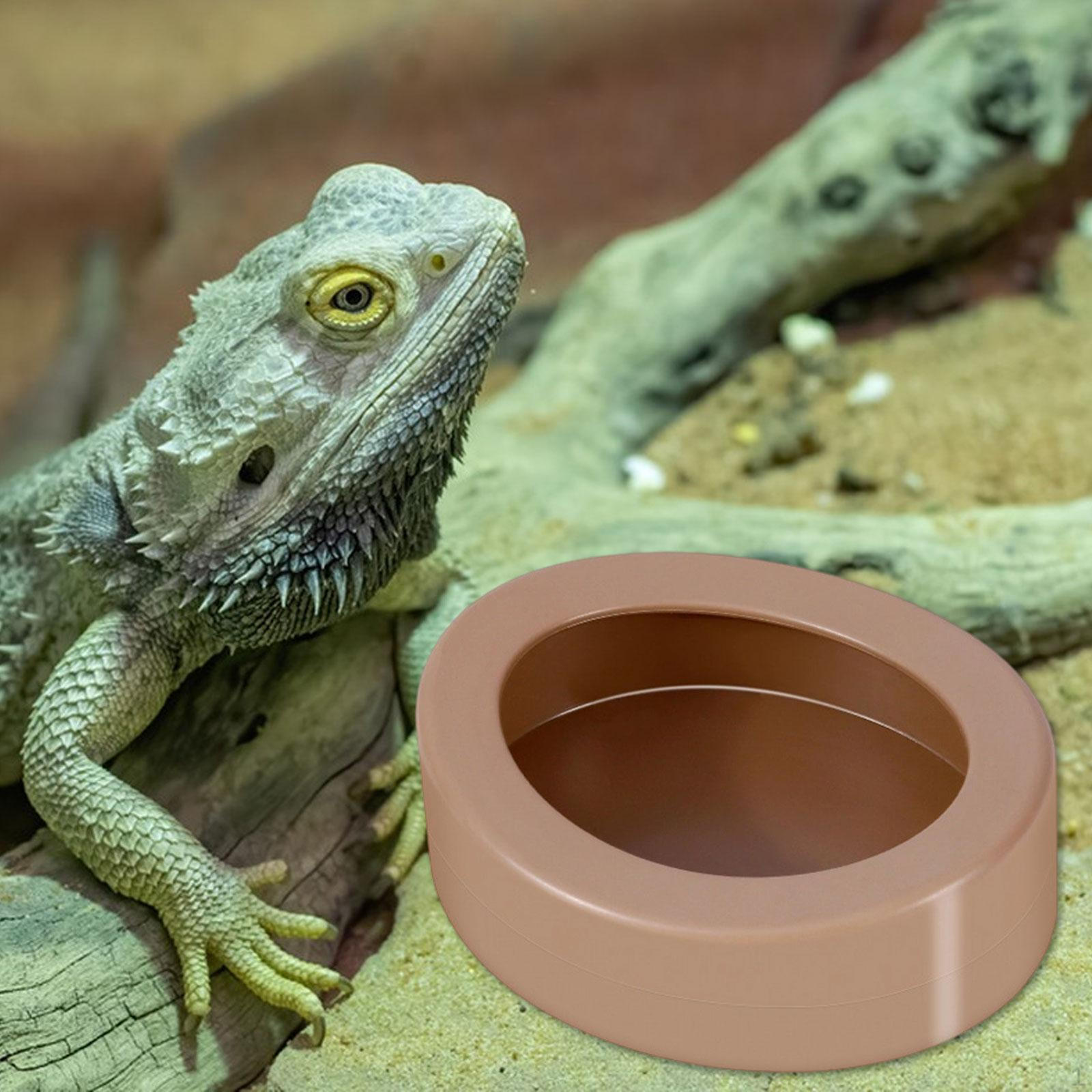 

Reptile Bowl Food Dish Feeding Aquarium Accessories for Frog Turtle коричневий