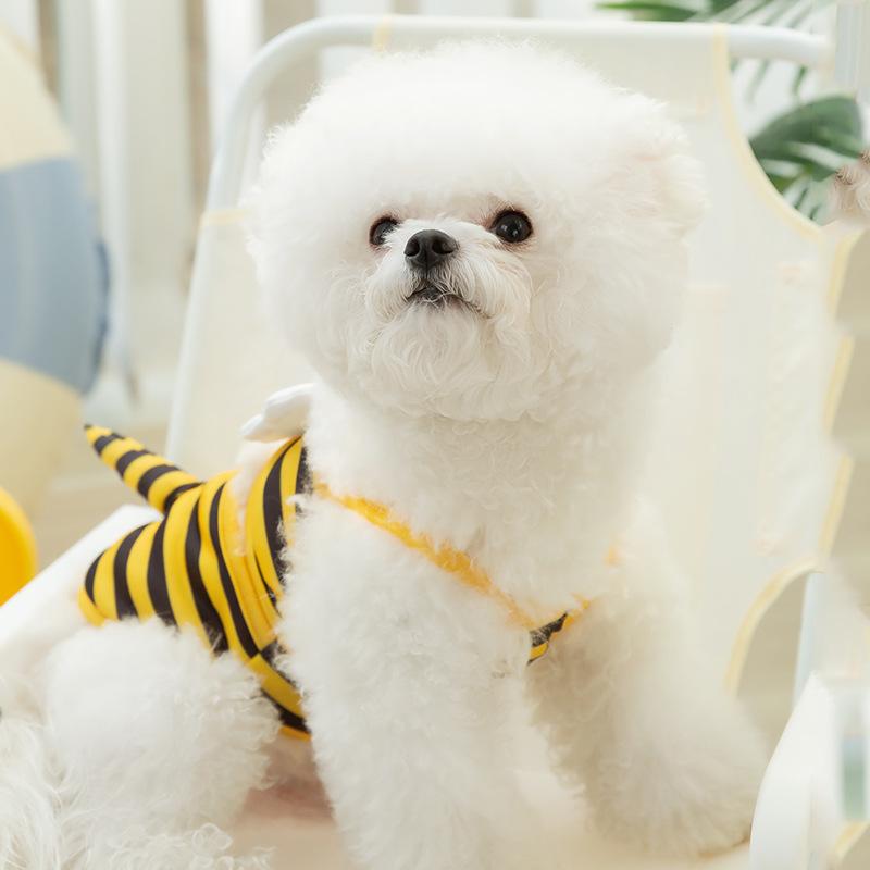 Summer Dog Cute Bee Swimsuit Suspender Cat Two-legged Swimsuit Pet Bikini Teddy Dog Clothes