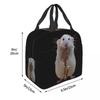 Rat Playing The Saxophone Insulated Lunch Bag for Kids School Cooler Thermal Food Box Tote Portable Lunch Boxes Container