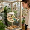 ABBP-Bird Feeder With Perch And Mirror, Fun , Outdoor Home Decor.