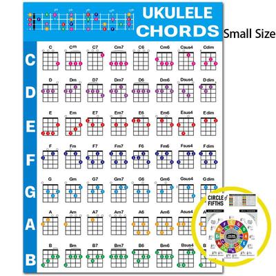 Instrumente muzicale – Simulatoare pentru muzicieni