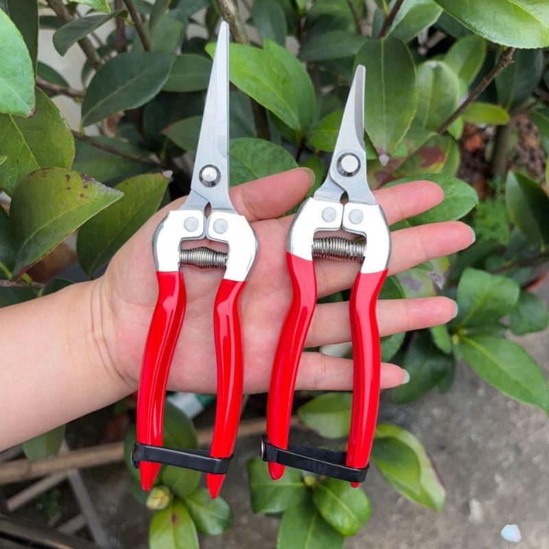 Orchard Fruit Picking Shears Picking Grapes and Melons Scissors Garden Fruit Tree Flower Branch Grafting Gardening Scissors