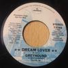 7inch Record GREYHOUND  Dream Lover  Wappadusa 73768PROMO Mercury 1975 US Reggae Ska  Dub Used