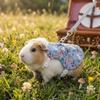 Breathable Guinea Pigs Vest Adjustable Rabbit Leash Set Cute Pet Harness and Leash  Daily Wear