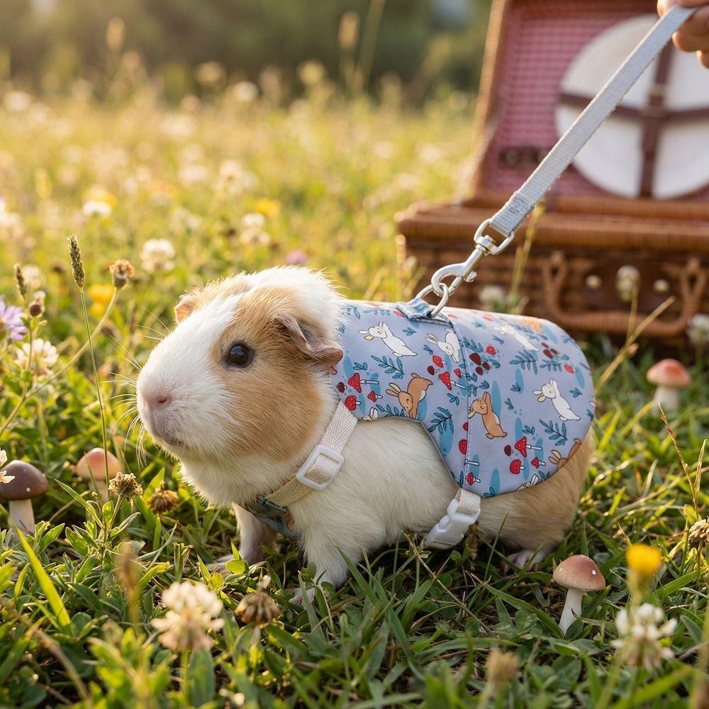 Breathable Guinea Pigs Vest Adjustable Rabbit Leash Set Cute Pet Harness and Leash  Daily Wear