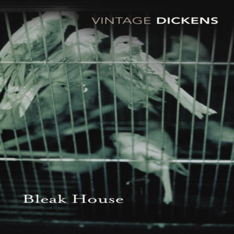 Bleak House by Charles Dickens Paperback Book 9780099511458