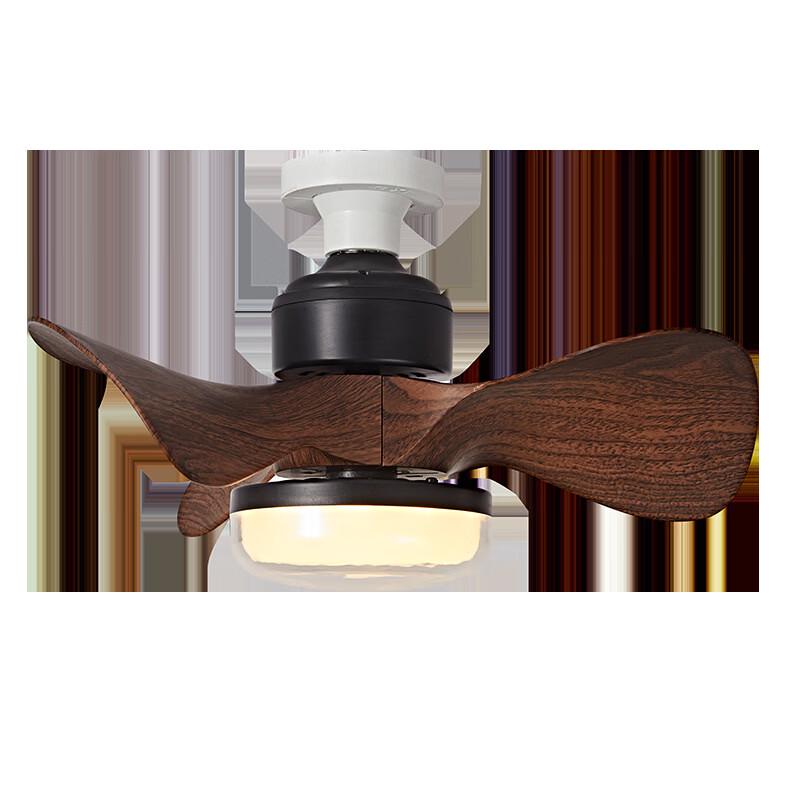 Oeny Ceiling Fan Light