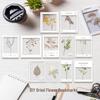 Transparent Specimen DIY Kit: Pressed Leaves, Flowers, Plants for Dried Spring Bookmarks