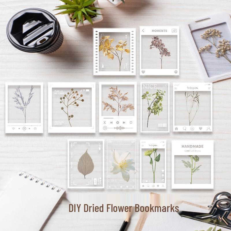 Transparent Specimen DIY Kit: Pressed Leaves, Flowers, Plants for Dried Spring Bookmarks