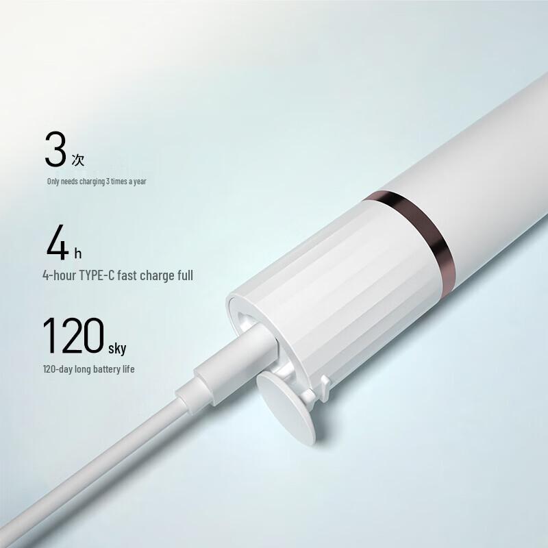 Prooral T33 Sonic Electric Toothbrush