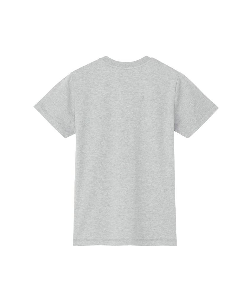 The North Face Small Logo Mixed Size M S/S Tee, Gray,