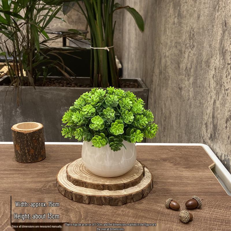 Home Homestay Ornaments: Mini Potted Green Plant for Office Conference Room Decor