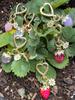 Cute Strawberry Keychain,Bag Charms,Kawaii Heart Flower Key chains Accessories Decor for Girls Purse Gifts