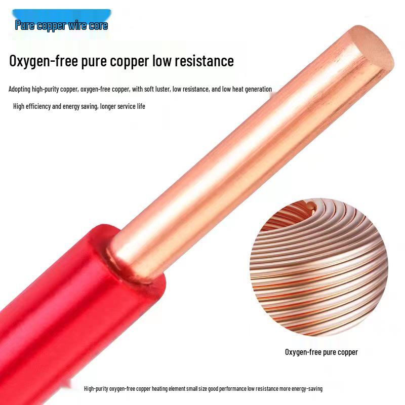 Pearl River ZC-BV Single-Strand Copper Core Wire (1.5-35mm²)
