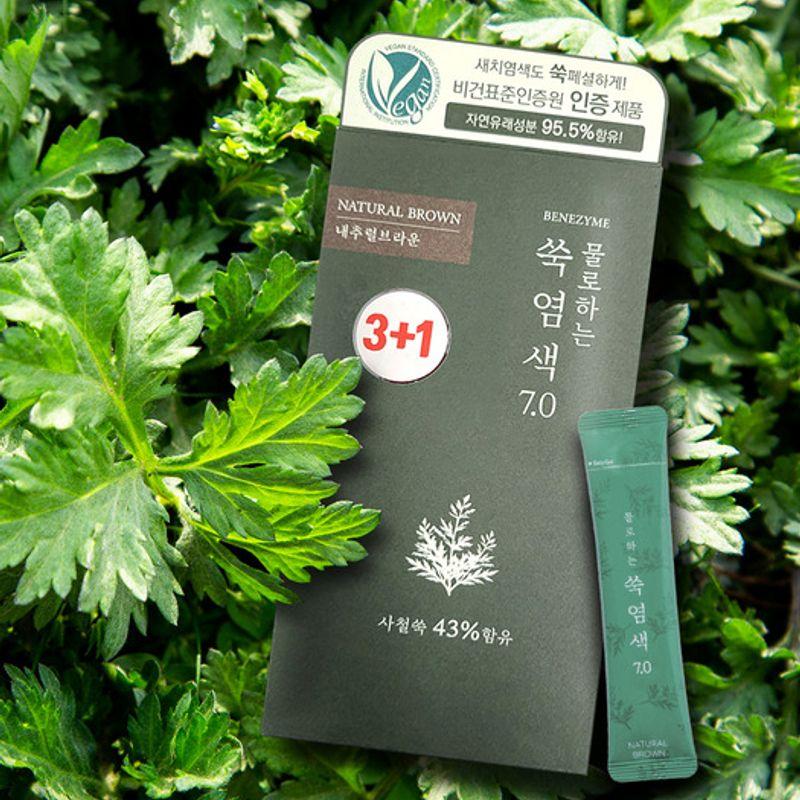 BENEZYME Water-based Mugwort Dye 7.0 Natural Brown [10gx4] Special Set single type