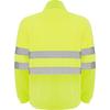 Roly Workwear Mens Altair Fleece Jacket