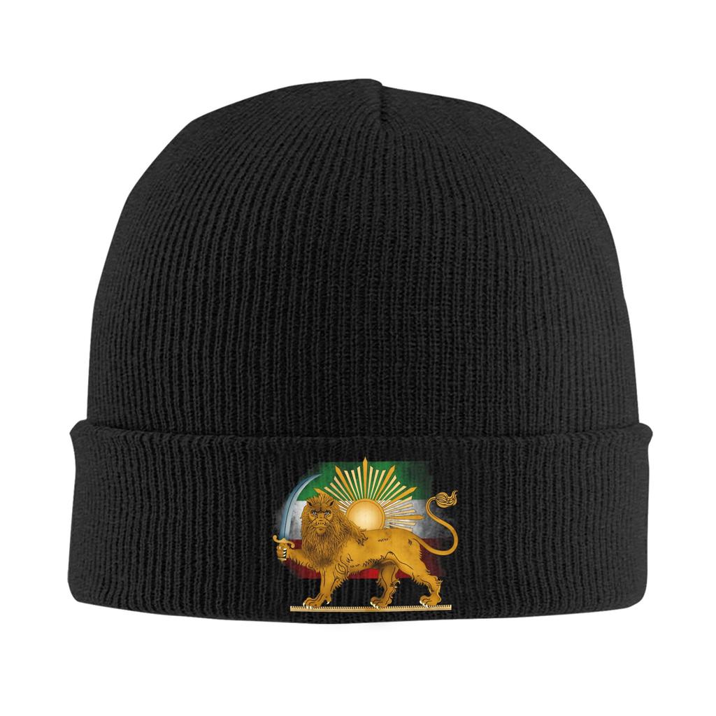 Lion and Sun of Flag Emblem Knitted Caps Women's Men's Beanie Autumn Winter Hats Acrylic  Warm Caps