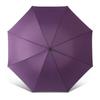 Heaven Windproof Business Umbrella