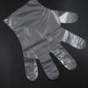 Disposable Transparent PE Medical Examination Gloves for Household, Catering, Beauty, and Hairdressing