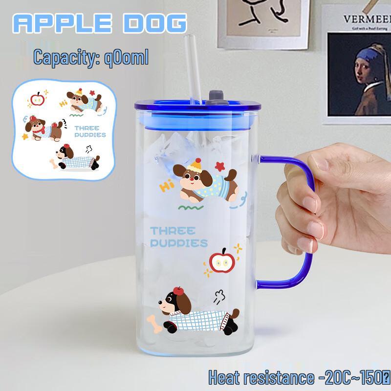 Shangqi High Borosilicate Glass Water Bottle with Handle