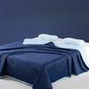 Sided Mica Cooling Silk Summer Quilt Breathable Lightweight Cool Sleeping Blanket Quilt Core for Student Dorm Home Daily Use