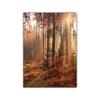 Autumn Scenery Canvas Painting Poster Pumpkin Leaves HD Printing Wall Art Picture Print Living Room Bedroom Home Decoration