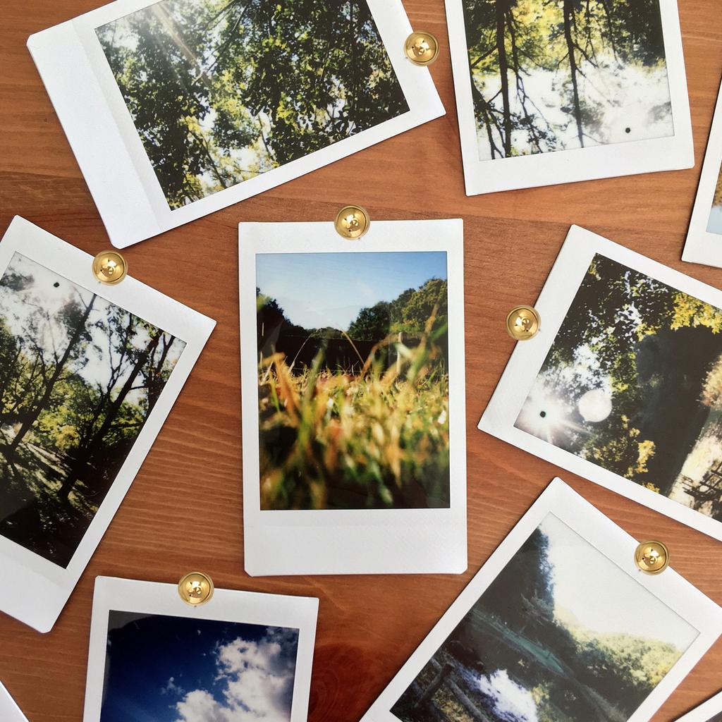 Karten-Reißnägel Dekorative Kartenstecknadeln Rundkopf-Reißnägel Multifunktionale Reißnägel Poster-Pins für Pinnwand Welt?Karte