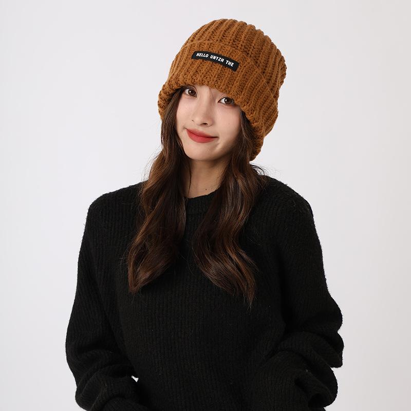 Japanese couple wool pile hat men's and women's autumn and winter versatile Korean version knitted hat warm big head loose hat