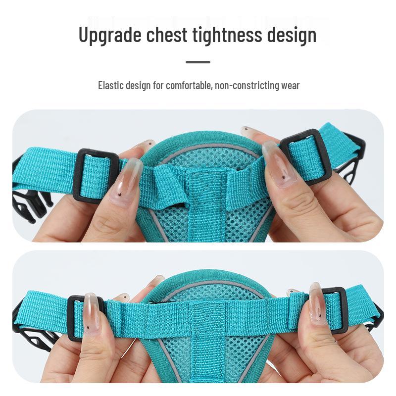 Maine Coon Anti-Escape Breathable Mesh Cat Harness & Leash - No Choke Design for Outdoor Adventures