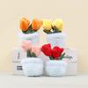 Plush Potted Tulip Plant Toy With Keychain For Gift And Bag Decor