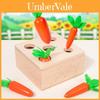Wooden Montessori Target Box With Coin Slot For Toddler Learning Activities