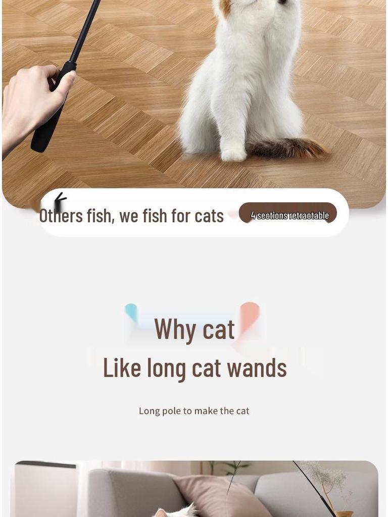 Bacchetta retrattile per gatti con piuma: Giocattolo a Filo da Pesca Lungo e Resistente ai Morsi per Gioco Autonomo.